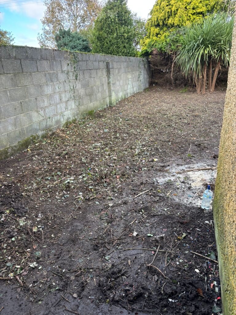 Junk removal professionals handling waste responsibly in Dublin