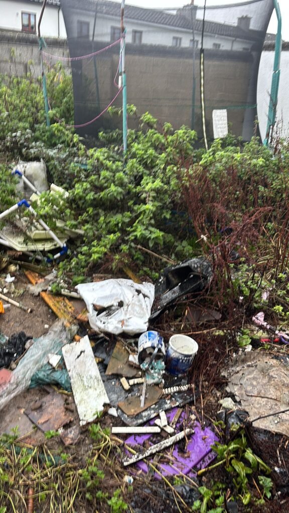 Professional garden clearance and green waste removal in Dublin