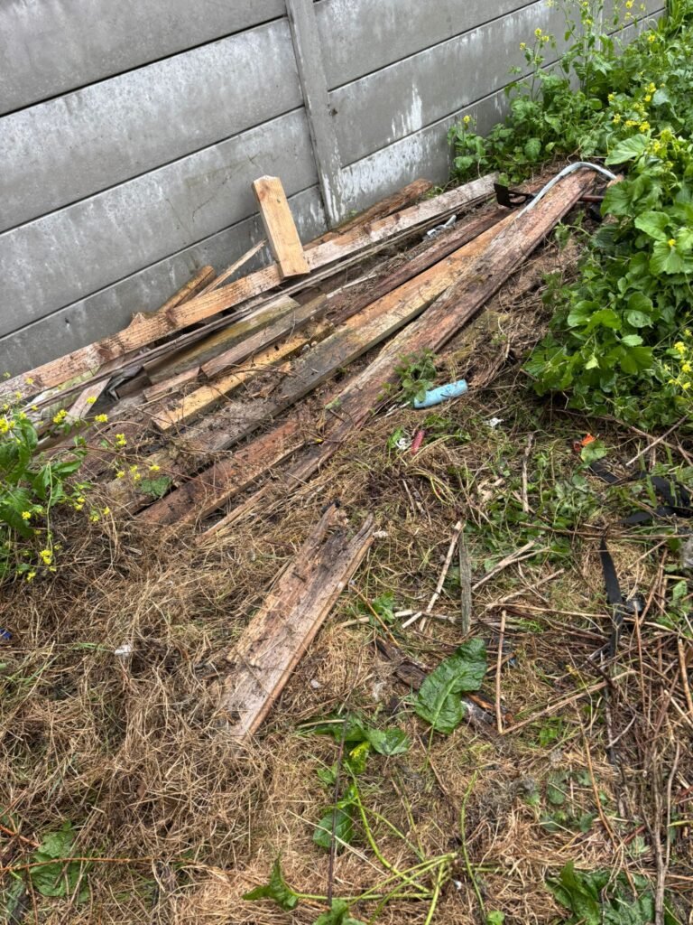 Overgrown garden cleared and cleaned by junk removal team in Dublin